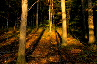 DSC_0165.jpg