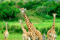 Arusha_0321.jpg