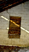 DSC_0078good.jpg
