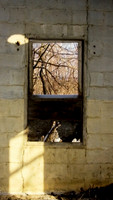 DSC_0079.jpg